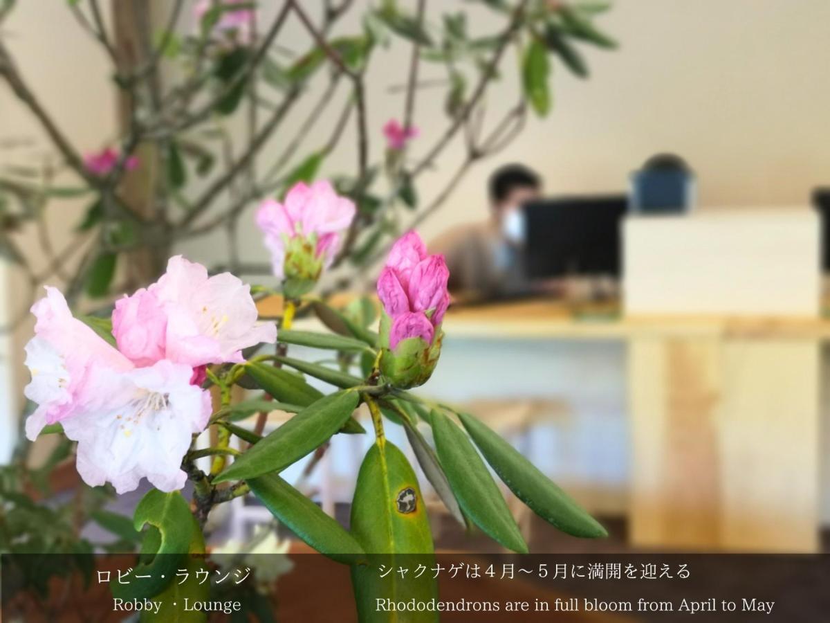 Tatsuta Ryokan Izu  Exteriér fotografie